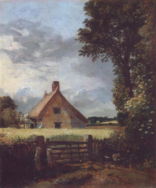 John Constable A cottage in a cornfield china oil painting image